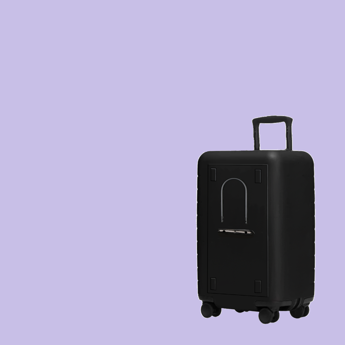 visual of product